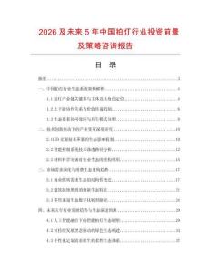 2026及未來(lái)5年中國(guó)拍燈行業(yè)投資前景及策略咨詢(xún)報(bào)告