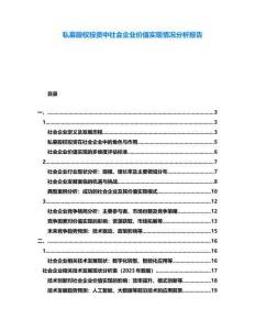 私募股權投資中社會企業價值實現情況分析報告