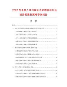 2026及未來5年中國全自動噴砂機行業投資前景及策略咨詢報告