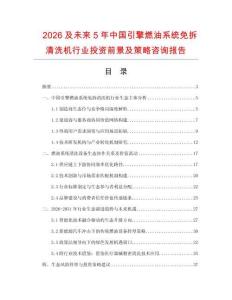 2026及未來5年中國引擎燃油系統免拆清洗機行業投資前景及策略咨詢報告