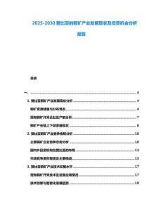 2025-2030贊比亞的銅礦產(chǎn)業(yè)發(fā)展現(xiàn)狀及投資機(jī)會(huì)分析報(bào)告
