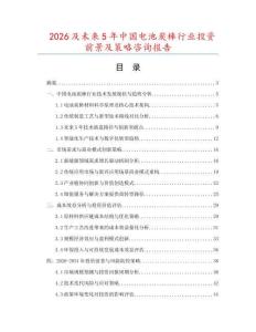2026及未來5年中國電池炭棒行業投資前景及策略咨詢報告