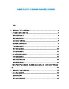 中國電子支付產業競爭格局與商業模式創新報告