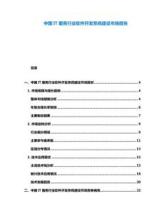 中國IT服務行業軟件開發系統建設市場報告