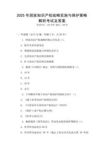 2025年國家知識產(chǎn)權(quán)戰(zhàn)略實施與保護策略解析考試及答案