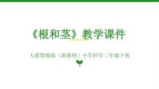 2025-2026學(xué)年人教鄂教版（新教材）小學(xué)科學(xué)三年級下冊《根和莖》教學(xué)課件