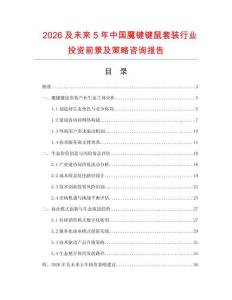 2026及未來5年中國魔鍵鍵鼠套裝行業投資前景及策略咨詢報告