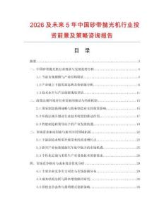 2026及未來5年中國砂帶拋光機行業投資前景及策略咨詢報告