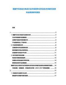 我國汽車的動力電池行業市場競爭分析及技術突破與投資機會預測研究報告