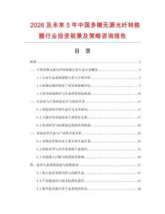 2026及未來5年中國多模無源光纖轉換器行業投資前景及策略咨詢報告