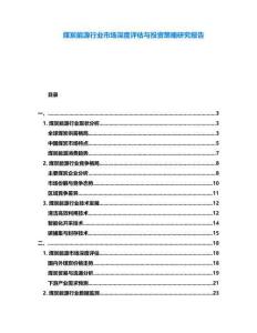 煤炭能源行業市場深度評估與投資策略研究報告