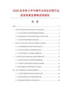 2026及未來5年中國平頭四支掃把行業(yè)投資前景及策略咨詢報告