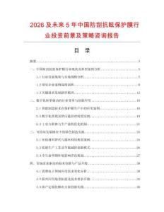 2026及未來5年中國防刮抗眩保護膜行業(yè)投資前景及策略咨詢報告