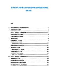 意大利汽车改装件行业市场供需调研及投资前景评估规划分析文档