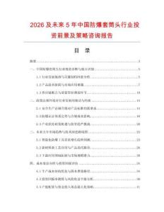 2026及未來5年中國防爆套筒頭行業(yè)投資前景及策略咨詢報告