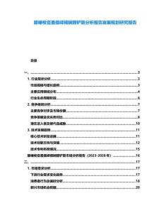 膝嗪栓躉蚤僵嶧襦锏醛鏟瓞分析報告發展規劃研究報告