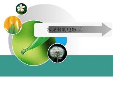 高中化學精品課件：常見的弱電解質