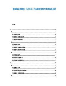 多服務業務網關（MSBG）行業政策支持與市場機遇分析
