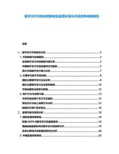數字支付市場深度解讀及監管環境與市場競爭格局報告
