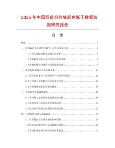 2025年中國雙組份外墻彩色膩子數據監測研究報告