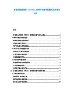 多服務(wù)業(yè)務(wù)網(wǎng)關(guān)（MSBG）在媒體傳播中的技術(shù)支撐體系研究