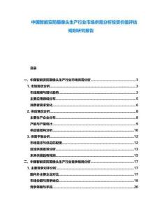 中國智能安防攝像頭生產(chǎn)行業(yè)市場供需分析投資價值評估規(guī)劃研究報告