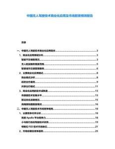 中國(guó)無人駕駛技術(shù)商業(yè)化應(yīng)用及市場(chǎng)前景預(yù)測(cè)報(bào)告