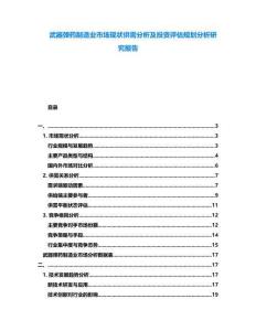 武器彈藥制造業市場現狀供需分析及投資評估規劃分析研究報告