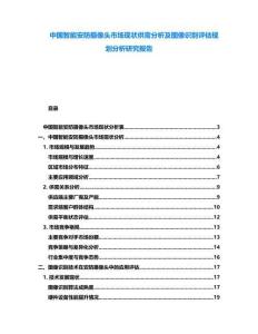 中國智能安防攝像頭市場現狀供需分析及圖像識別評估規劃分析研究報告