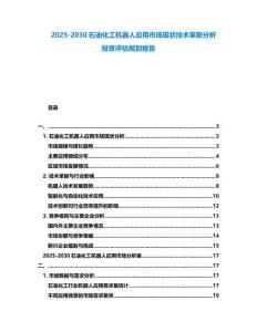 2025-2030石油化工機(jī)器人應(yīng)用市場(chǎng)現(xiàn)狀技術(shù)革新分析投資評(píng)估規(guī)劃報(bào)告