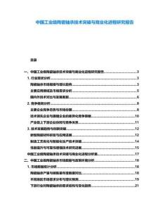 中國工業(yè)級(jí)陶瓷軸承技術(shù)突破與商業(yè)化進(jìn)程研究報(bào)告