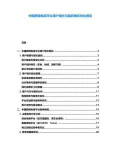 中國跨境電商平臺用戶增長與盈利模式優化報告