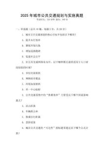 2025年城市公共交通規劃與實施真題