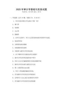 2025年審計學基礎與實務試題
