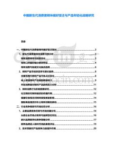 中國新生代消費者辣味偏好變遷與產品年輕化戰略研究