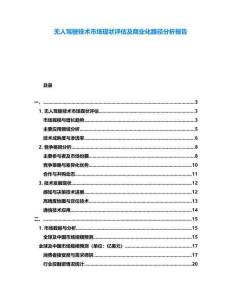 無(wú)人駕駛技術(shù)市場(chǎng)現(xiàn)狀評(píng)估及商業(yè)化路徑分析報(bào)告