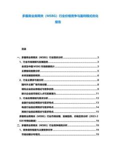 多服務(wù)業(yè)務(wù)網(wǎng)關(guān)（MSBG）行業(yè)價(jià)格競(jìng)爭(zhēng)與盈利模式優(yōu)化報(bào)告