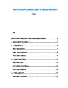 南非煤炭采掘產(chǎn)業(yè)發(fā)展現(xiàn)狀與技術革新投資策略規(guī)劃研究報告