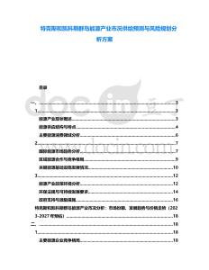 特克斯和凱科斯群島能源產(chǎn)業(yè)市況供給預測與風險規(guī)劃分析方案