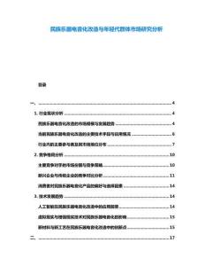 民族樂(lè)器電音化改造與年輕代群體市場(chǎng)研究分析