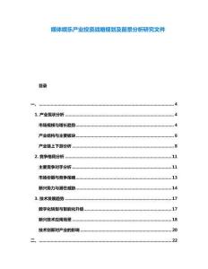 媒體娛樂產(chǎn)業(yè)投資戰(zhàn)略規(guī)劃及前景分析研究文件