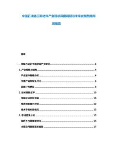 中國石油化工新材料產業現狀深度調研與未來發展戰略布局報告
