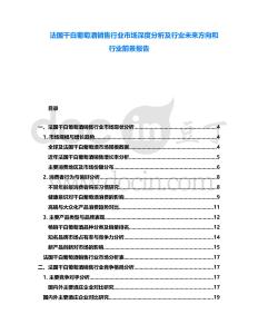 法國干白葡萄酒銷售行業市場深度分析及行業未來方向和行業前景報告