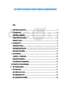電子商務平臺運營分析及用戶體驗優化與盈利模式報告