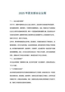 2025年团支部会议议程