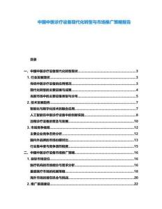 中國中醫診療設備現代化轉型與市場推廣策略報告