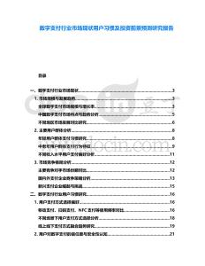 數(shù)字支付行業(yè)市場(chǎng)現(xiàn)狀用戶(hù)習(xí)慣及投資前景預(yù)測(cè)研究報(bào)告