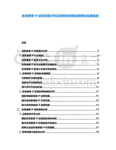 體育賽事IP運營深度分析及新媒體營銷創新模式拓展報告