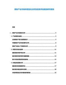煤炭產(chǎn)業(yè)市場供需變化分析及投資評估規(guī)劃研究報告