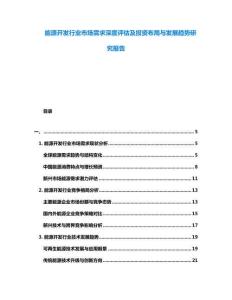 能源開發行業市場需求深度評估及投資布局與發展趨勢研究報告
